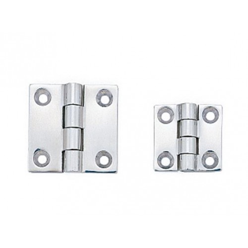 Stainless Steel 316 Butt Hinge